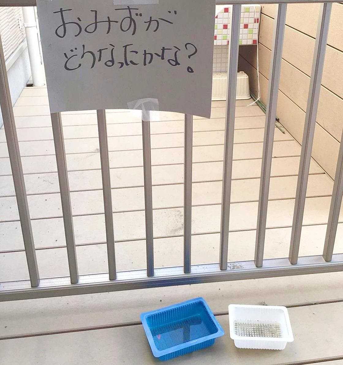 グラン仙川ちとせ保育園の画像