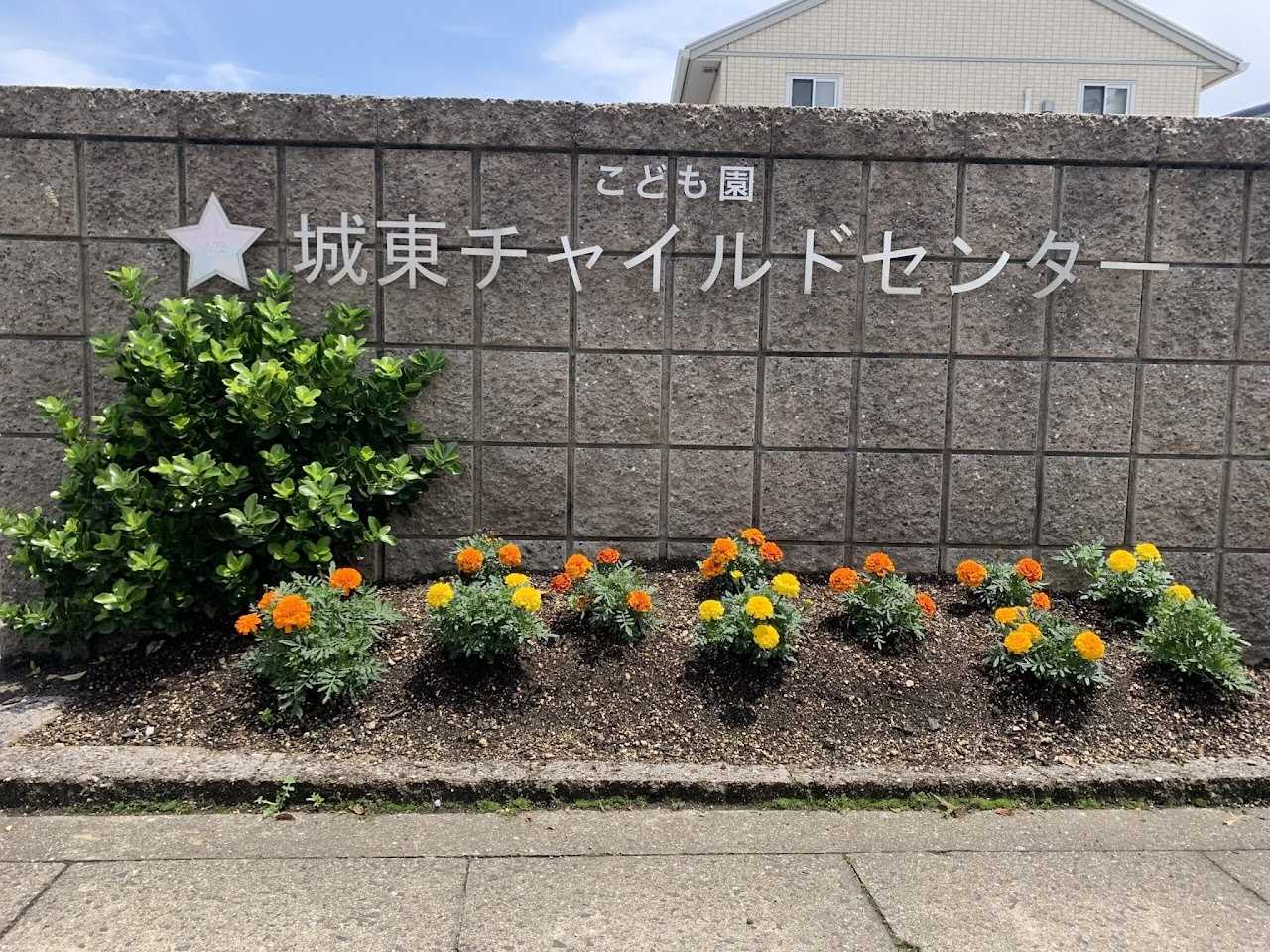 こども園 城東チャイルドセンターの画像