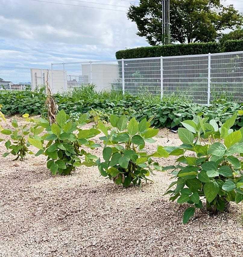 グリーン長利こども園の画像