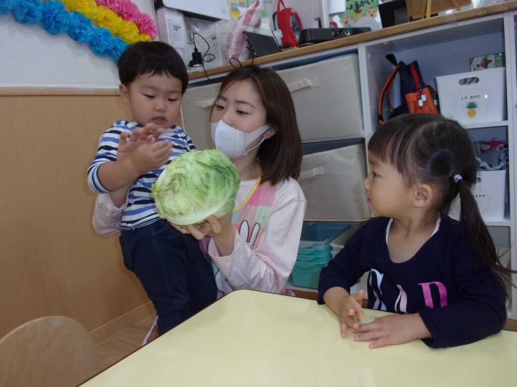 ぬくもりのおうち保育 北鴻巣園の画像