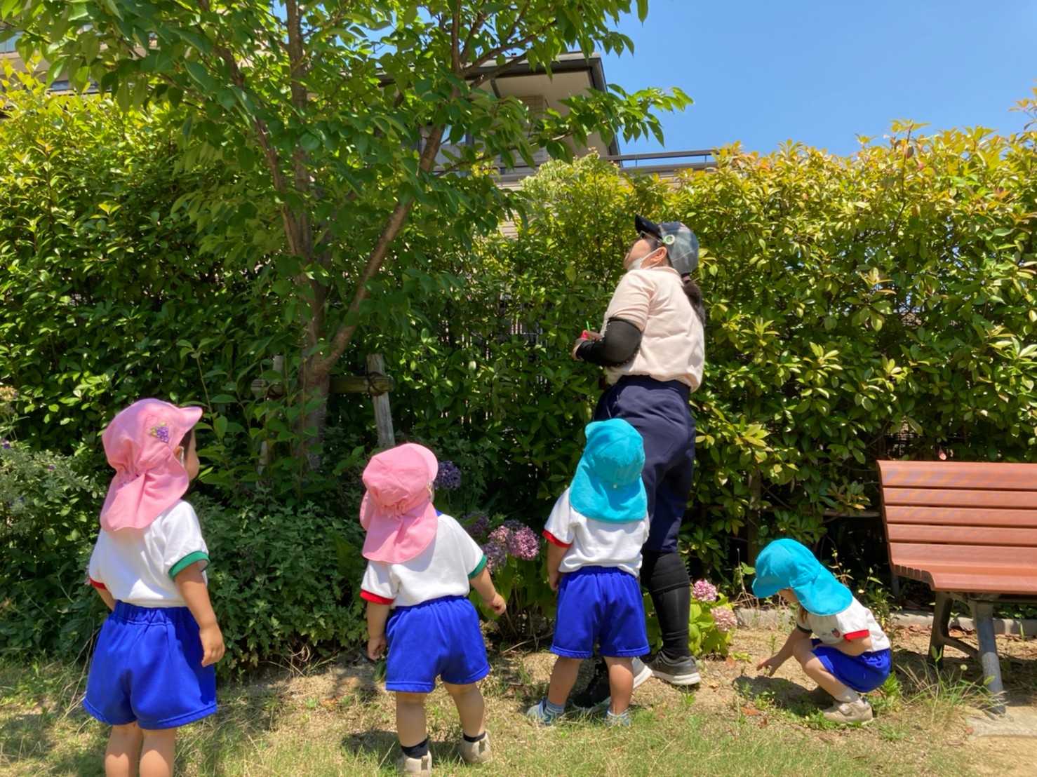 蓮美幼児学園芦屋打出プリメールの画像