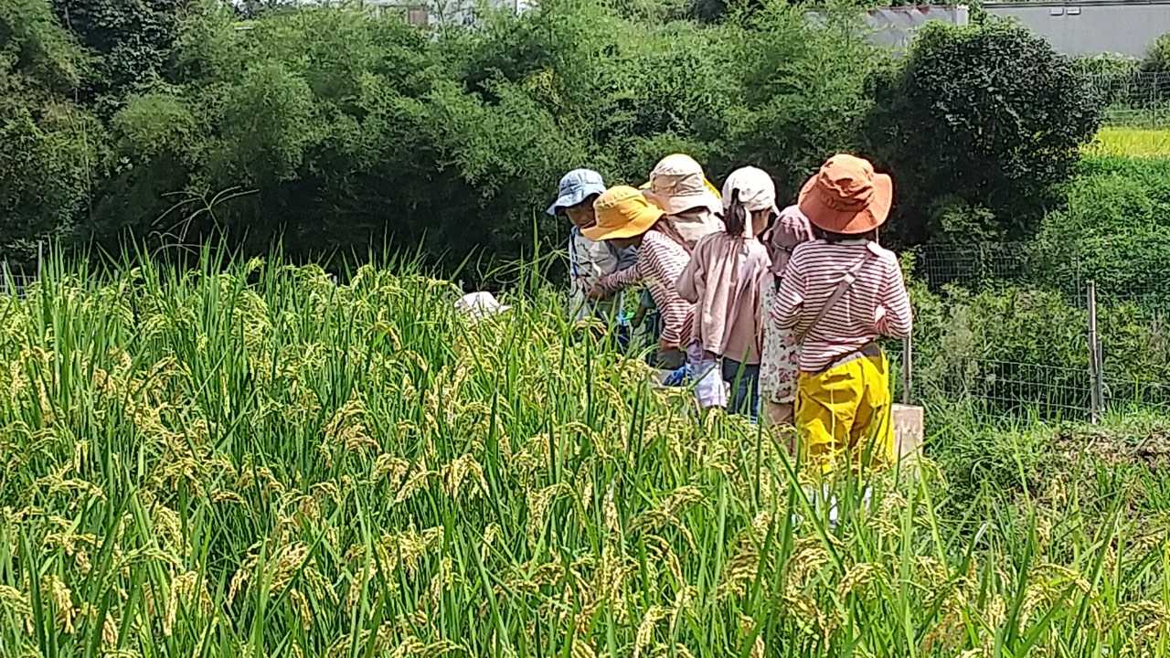 森のようちえん えくぼ保育園